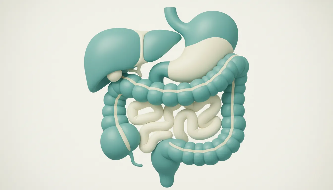 Acid Reflux: Could Your Spine Be Contributing?
